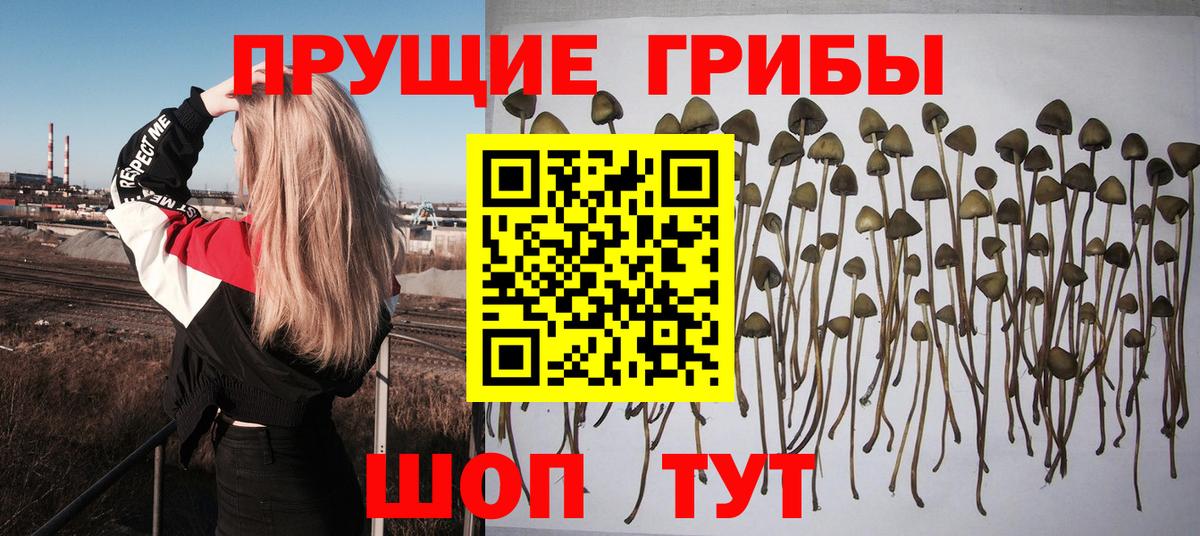 Псилоцибиновые грибы мицелий  Галлюциногенные грибы ЛСД  Ленинск-Кузнецкий  Вход с VPN 