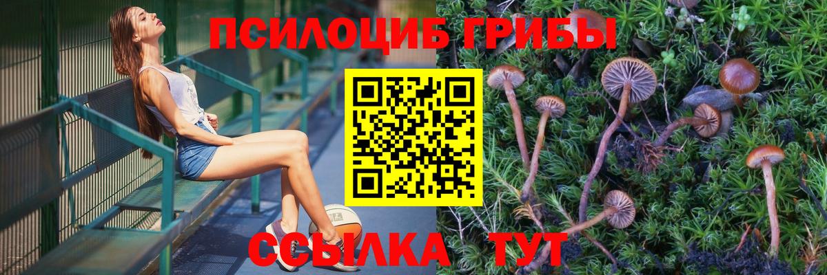 Галлюциногенные грибы мицелий Ленинск-Кузнецкий